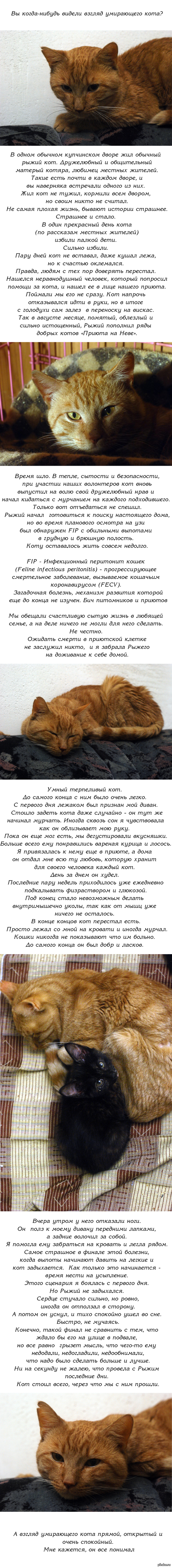 Кракен даркнет стор