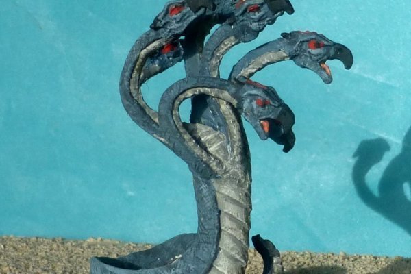 Kraken forum