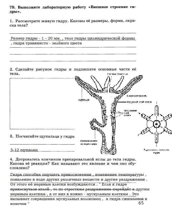 Адрес кракена