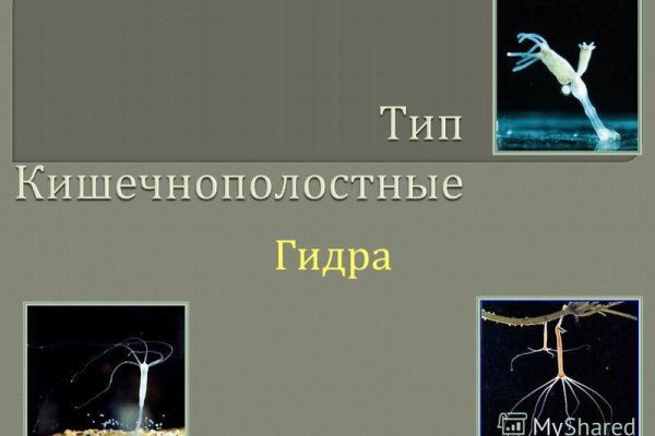 Даркнет официальный сайт на русском