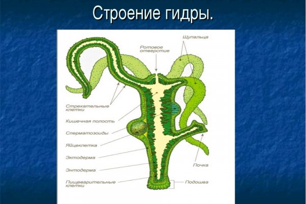 Ссылка кракен cc