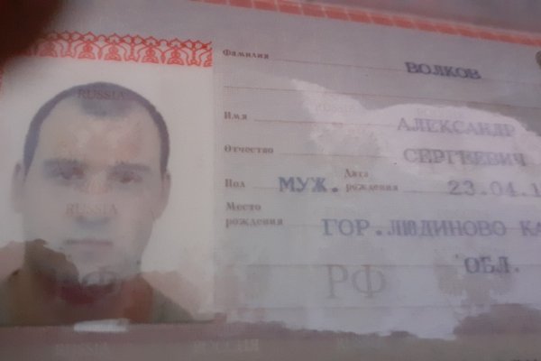 Rutor главный форум