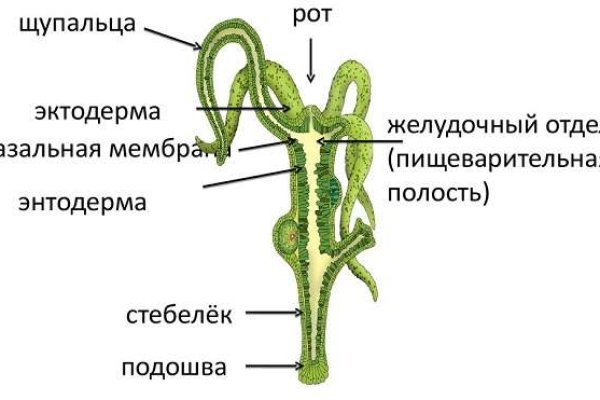 Kraken даркнет gigageek ru