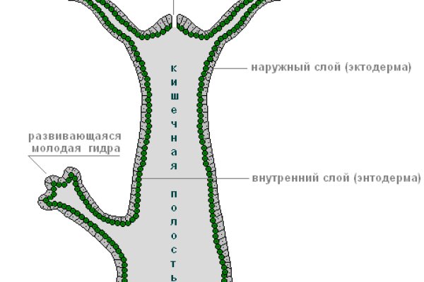 Кракен нов