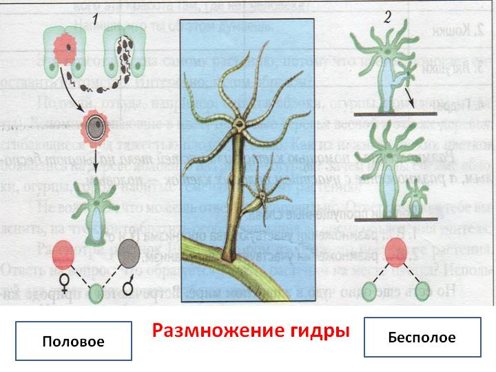Omg интернет магазин